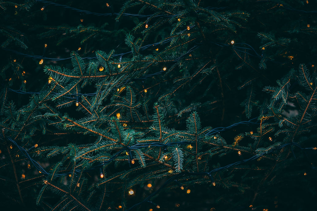 Image by Kieran White