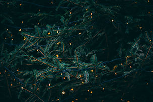 Image by Kieran White