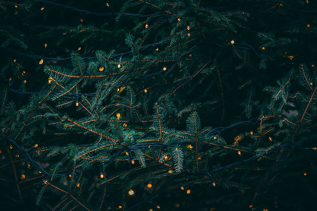 Image by Kieran White