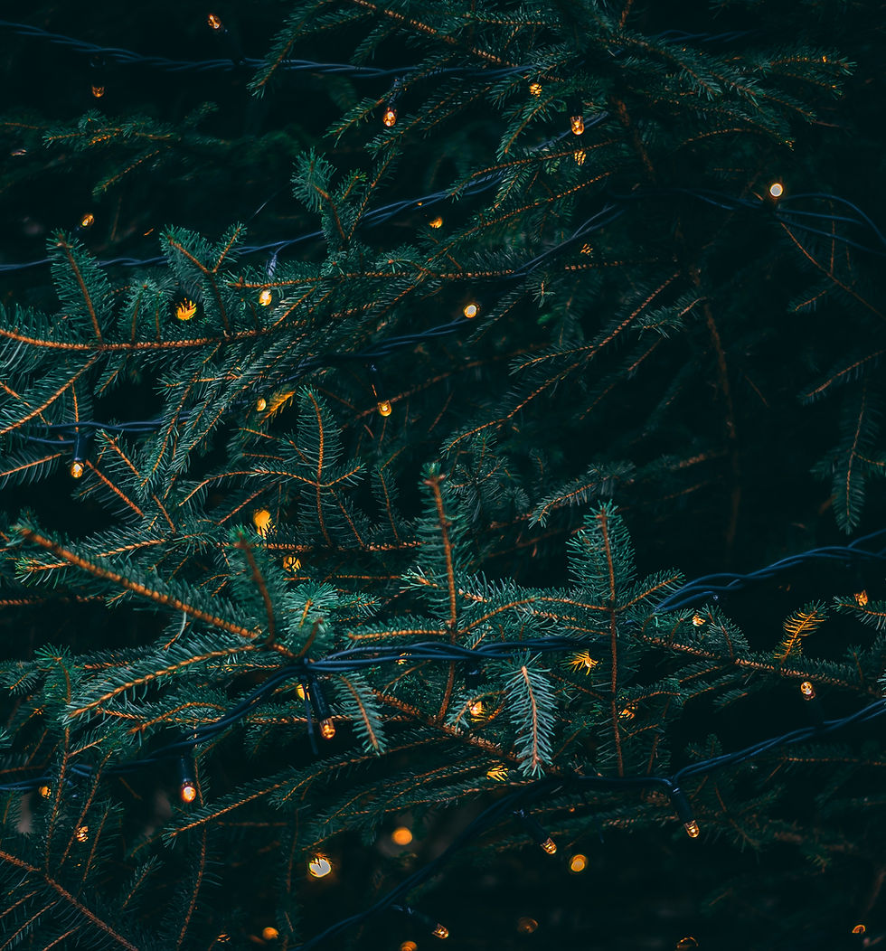 Image by Kieran White