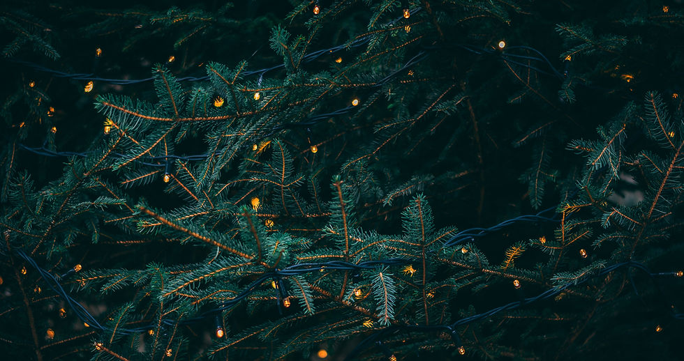 Image by Kieran White