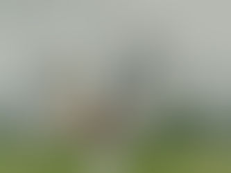 How Long Should a Student Pass Holder Stay in Singapore Before Applying for PR?