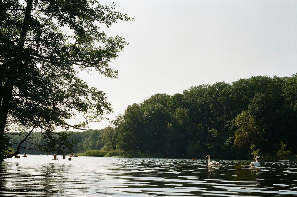 Image by Nathan Staz