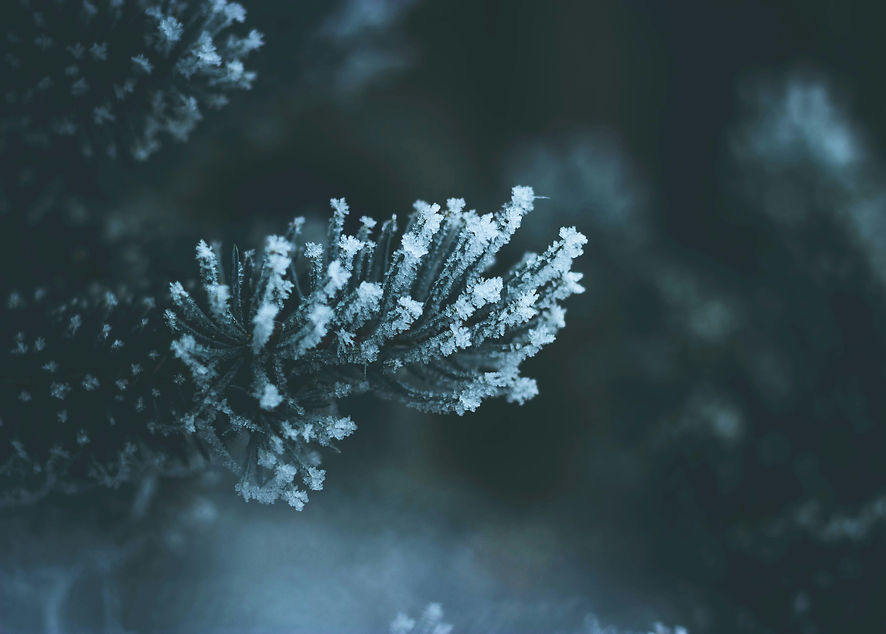 Image by Darius Cotoi