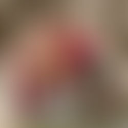 A Salvação da Família