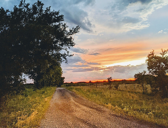 Image by Jake Carter