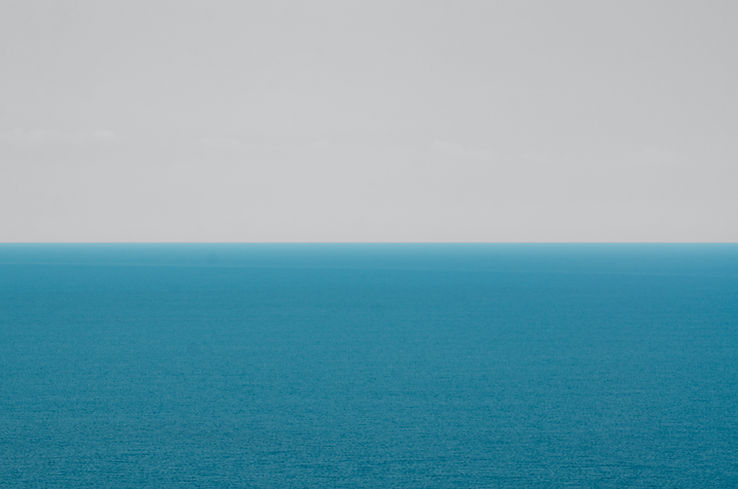 Image by Viktor Talashuk