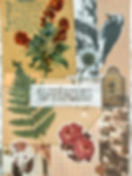 Collage features red flowers, a fern, bird, vintage text, and flowers. Text reads "your energy is best spent focusing on what is going right." Vision Board for New Year