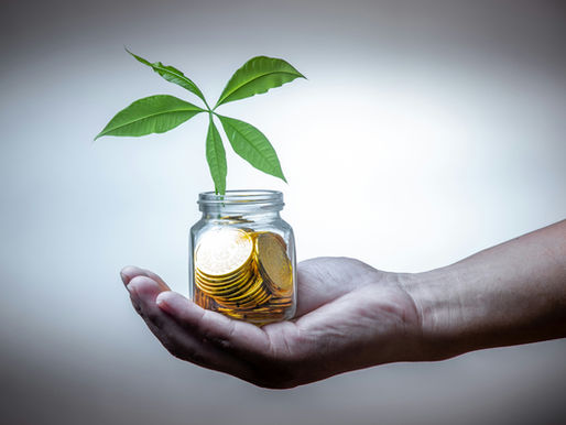A hand holding a jar of coins with a small money tree growing out of it, symbolizing financial growth and the benefits of real estate investing.