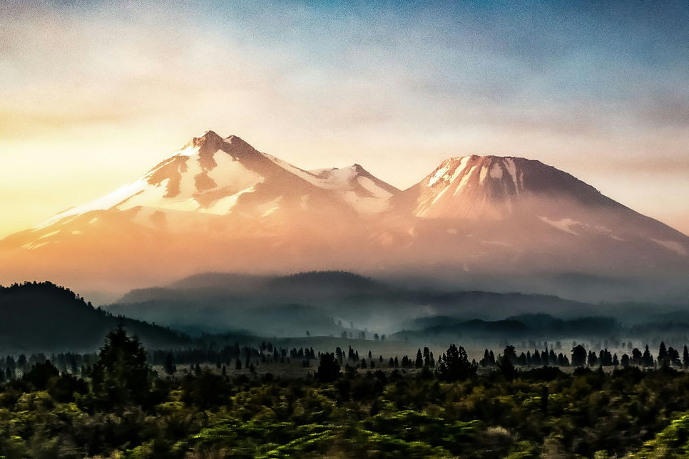 Image by Nandita Damaraju