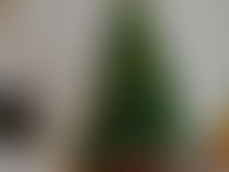 Sapin naturel ou artificiel ? Le meilleur choix pour préserver votre canapé