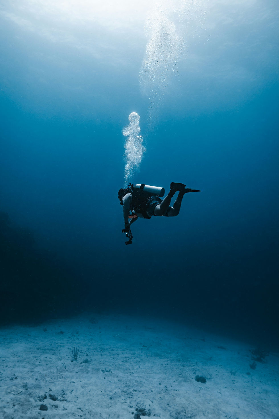 diver