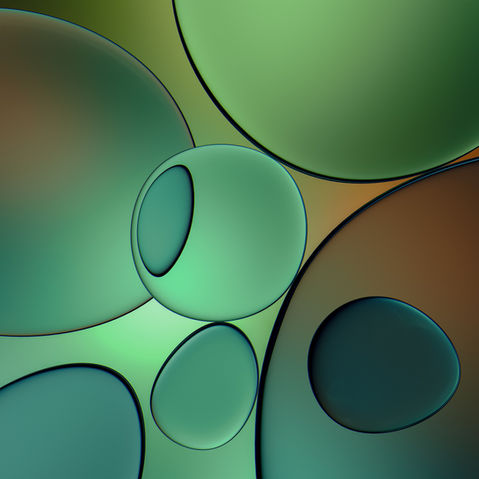 Auto Immune Challenges