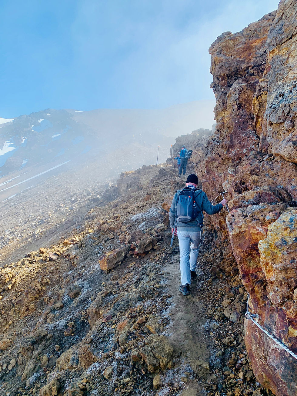Hikers climbing a rocky trail on a Travel Guide New Zealand.