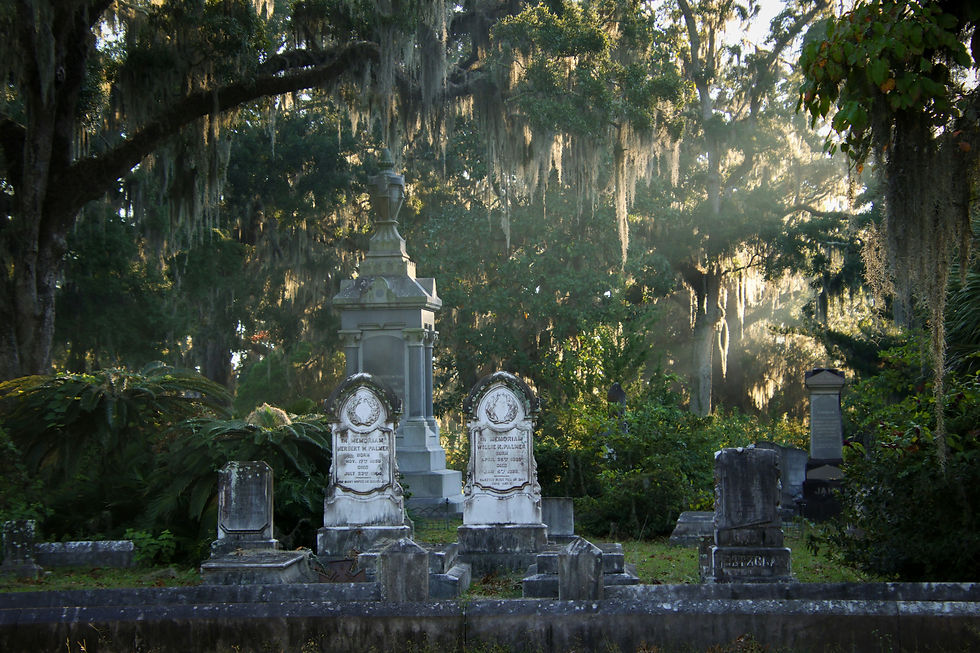 Sunlit cemetery with weathered tombstones and a tall monument beneath moss-draped trees, creating a quiet, eerie mood.