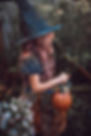 Image by Paige Cody