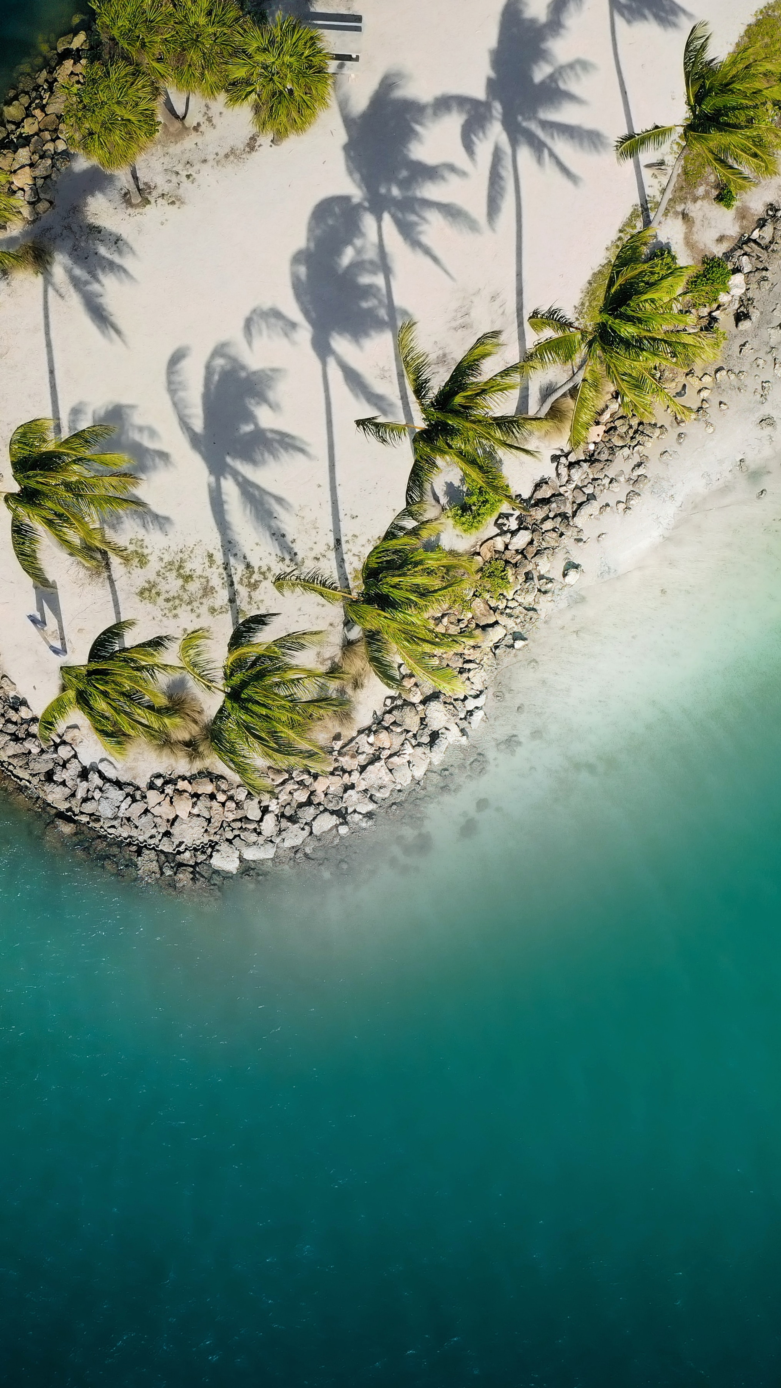 ULTIMATE Guide to Jupiter, Florida (From Locals)