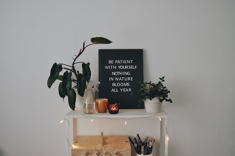 Plants, candles, and brushes sit on a shelf, with a board reading "Be patient with yourself, nothing in nature blooms all year." Cozy vibe.