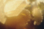 Image de Liana S