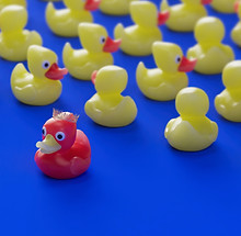 Image by Igor Omilaev