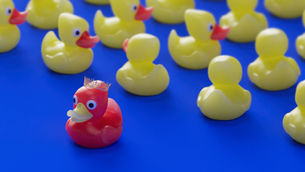 Different Types of Trademarks