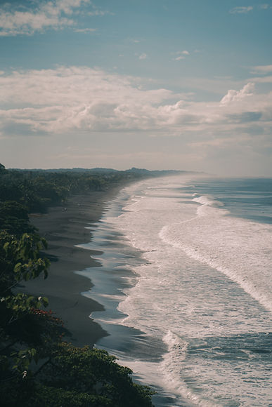 Image by Mario Scheibl