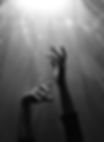 Image by Nahid Hatami