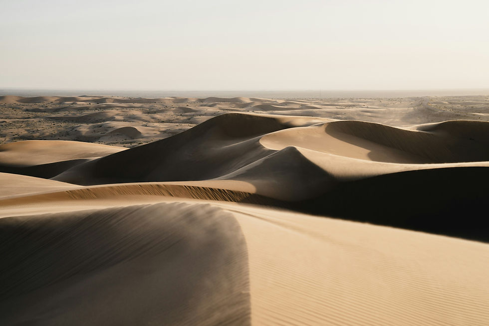 Image by Peter Thomas