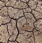 Image by José Ignacio Pompé