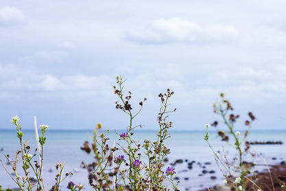 Image by Rhanna