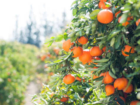 News about circular farming practices