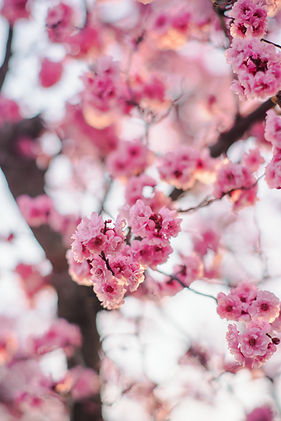 Image by Jason Leung