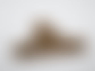 The Art of Apologising