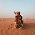 Image by Ravisankar S