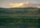 A man Fly Fishing in a valley of hills