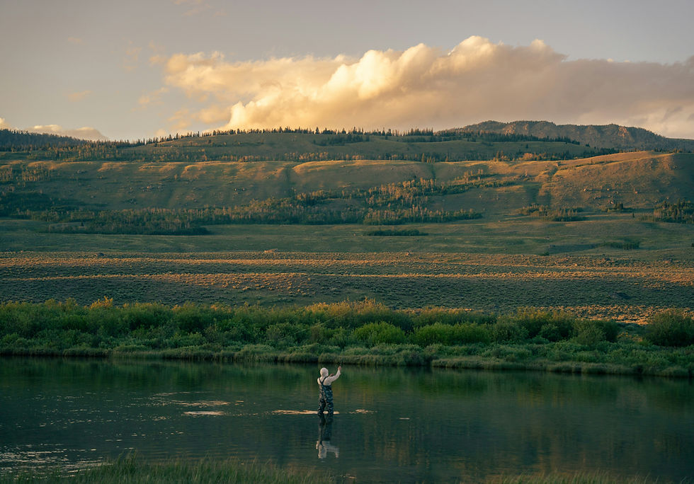 Image by Alex Moliski