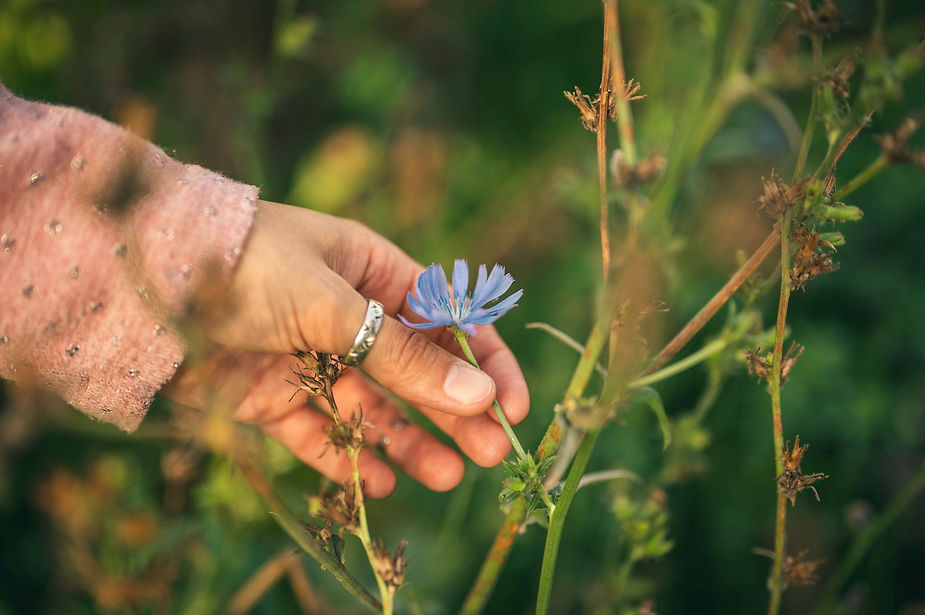 A hand gently holds a delicate lavender flower amidst a background of lush greenery, capturing a moment of serene connection with nature.