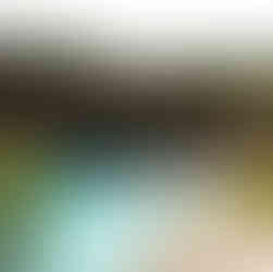 Charter a Yacht in Mallorca