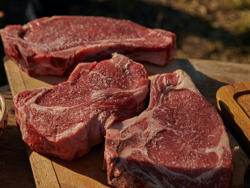 【ペット栄養士解説】犬・猫に牛肉(ビーフ)を与えるなら?栄養価と安全な与え方を解説