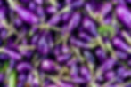 Eggplant