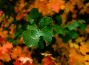 Image by Patrick Hendry