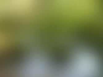 Christ Is Our Righteousness (Psalm 1:3-4)