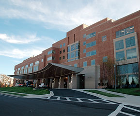 Image by National Cancer Institute
