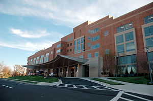 Image by National Cancer Institute