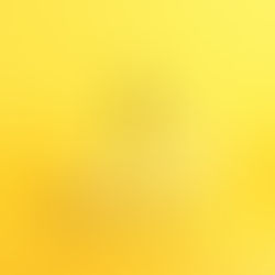 Bananas over a yellow background