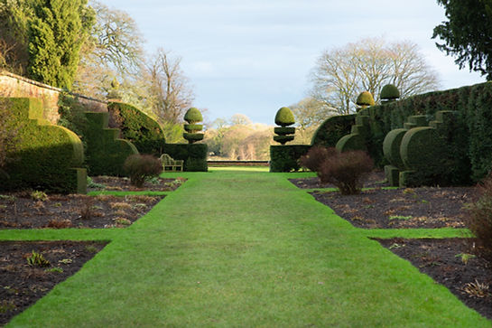 gepflegter Garten