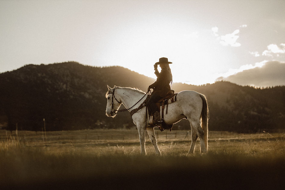 Image by Taylor Brandon