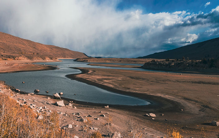 Image by Ross Stone