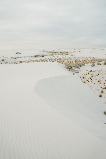Image by Cason Asher