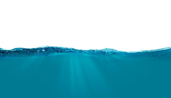 Image by Daniel Sinoca